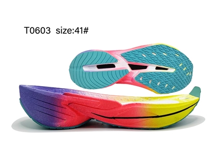 T0603